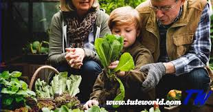 Gardening gives you that something to get up for every day. on top of that, explains willcox, okinawans value the concept of yuimaru, or a high level of social connectedness. Introduction To Home Gardening