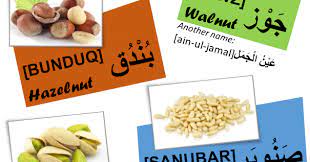 Names Of Nuts In Arabic Peanut Hazelnut Walnut Almond Cashew Pine Pistachio Coconut مكسرات لوز جوز عين الجمل بندق صنوبر Pistachio Walnut Coconut