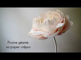 Trois grandes feuilles de papier cartonné. 358 Pivoine Geante En Papier Tutoriel Online Youtube Pivoines En Papier Pivoine Tutoriel