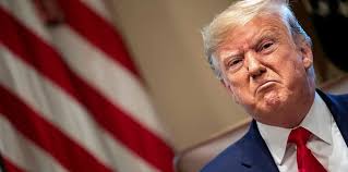 Trump's claim that Bumble Bee tuna cans were used as protest weapon strikes  Twitter gold