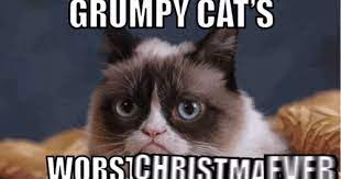 Despite these cats didn't grace the silver screen like monty and grumpy and just live their ordinary feline life. Grumpy Cat Memes Gif Grumpy Cat