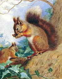 Squirrels In A Tree 1903 By Archibald Thorburn 1860 1935 Squirrel Painting Squirrel Illustration Squirrel