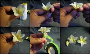 Pin On Fiori Di Nylon