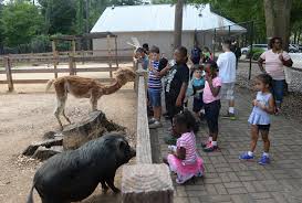 Hire a virtual petting zoo. Cdc Students Combine Culture Learning Fun At Camp