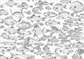 This collection includes mandalas, florals, and more. Fishes Coloring Pages For Adults