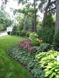 Pin On Gardening