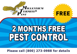 Ants, bed bugs, beetles, cockroaches, flies best pest control, inc. Sacramento Pest Control Millennium Termite Pest