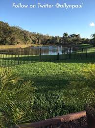 Lawn care tips for preventing weeds and crab grass. Early Spring Pre Emergent Lawn Applications Lawncarenut