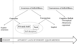 You need to give your own opinion or thoughts. Self Reflection In Illness And Health Literal And Metaphorical Humanities And Social Sciences Communications