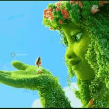 RÃ©sultat de recherche d'images pour "image gif de la nature"