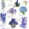 If you're choosing blooms to match your color scheme. Https Encrypted Tbn0 Gstatic Com Images Q Tbn And9gcswqf48uikh9j Pruaf7rll7kp 0w8s3jc5g0tnx2o Usqp Cau