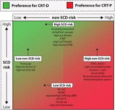 Optimized implementation of cardiac resynchronization therapy: a call for  action for referral and optimization of care