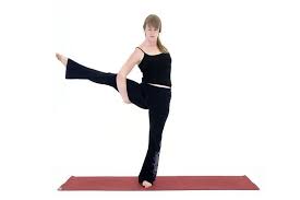 Pin On Bird Of Paradise Yoga Poses