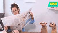Tumblr kızları, gifler, fotoğrafçılık hakkında daha fazla fikir görün. Lesen Gifs Get The Best Gif On Giphy
