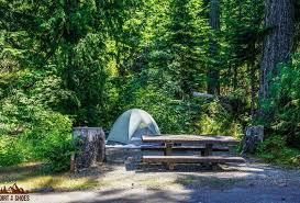 Maybe you would like to learn more about one of these? All About Camping In Olympic National Park Dirt In My Shoes
