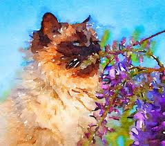 for hire watercolor pet portraitscommissions open (i.redd.it). How To Turn Your Photos Into Painterly Style Watercolor Art