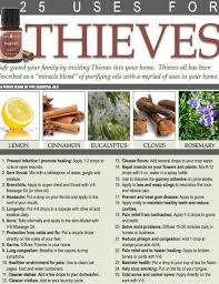 It is projected that young living's explosive growth will double in america and more in the international market in 2018. Young Living Basics Inspired By Grace