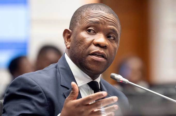 Mkhwanazi tries to nail Shadrack Sibiya as ad hoc committee wraps up  hearings