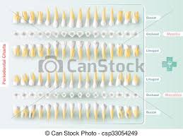 Dental And Periodontal Charting