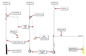 Halibut Rig Diagram Schematics Online