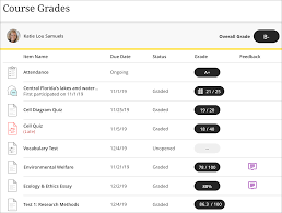Click the go button next to the dropdown box. Grades Blackboard Help
