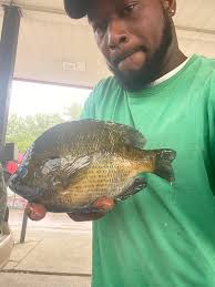 Gilligan paid off🎣😎🐟