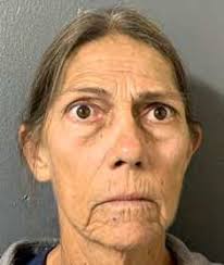 Voter Turnout Lagging State, Previous Elections In Hardee