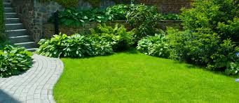 The purchase and design of a backyard landscape or front yard landscape is much like the purchase of a new home. Garden Landscaping Cost In Dubai Factors Budgeting More Mybayut