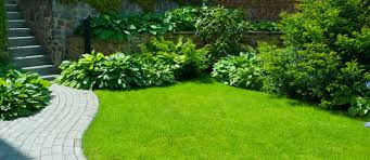 Maybe you would like to learn more about one of these? Garden Landscaping Cost In Dubai Factors Budgeting More Mybayut