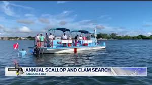 Sarasota Bay Watch Holds Annual Scallop And Clam Search