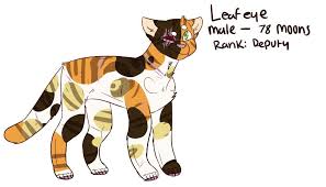Leafeye Warrior Cats Oc Aa Warriors Amino A calico cat has a coat of orange or brown and black spots on a white background. leafeye warrior cats oc aa warriors