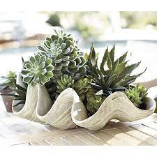 A giant clam shell, 23 x 74 x 47 cm. Giant Clam Large Clam Shell Artificial Giant Clam Shell Giant Clamshell Succulents Plants Outdoor Planters