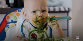 Should I feed my baby a vegan diet?