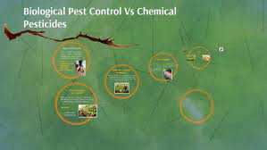 Biological vs chemical pest control. Biological Pest Control Vs Chemical Pesticides By Laura Ferlanti