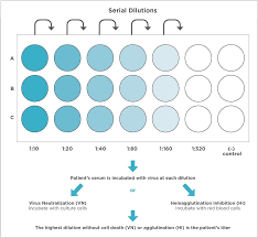 We did not find results for: A Literature Based Review Of Vaccine Titers In Companion Animal Practice