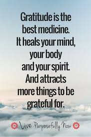 Gratitude The Mega Strategy For Happiness And Wellbeing Gratitude Quotes Grateful Quotes Inspirational Quotes