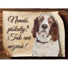 Image result for velššpringršpaněl