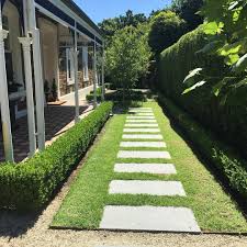 Steppers Through The Lawn