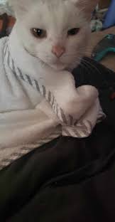 I hope this is allowed I need all the help I can get. Are there any  organizations that can help?