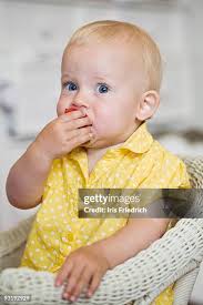 910 Cane Berries Stock Photos, High-Res Pictures, and Images