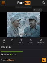 全球最大的成人网站pornhub，被误解了13年！ – 诸事要记日拱一卒