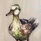 Quackers - Grosvenor, Felixstowe event image