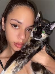 Lost cat named Star in Lubbock