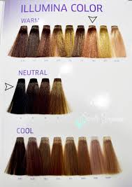 Wella Illumina Shade Chart Www Bedowntowndaytona Com