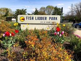 Insider Grand Rapids Epic Tour Michigan
