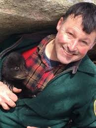 Black Bears Presentation