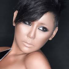 Hits and introductions of 蓝心湄(Pauline Lan)