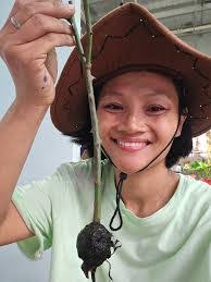 Diana Choy's Instagram, Twitter & Facebook