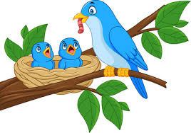 We offer you for free download top of vintage blue bird clipart pictures. 1 739 Bluebird Cliparts Stock Vector And Royalty Free Bluebird Illustrations