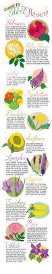 23 Absolutely Essential Gardening Diagrams Edible Flowers Edible Plants Edible Garden